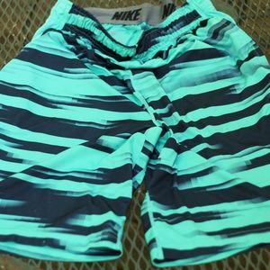 Nike Dri-Fit Active Men's Shorts (Medium)